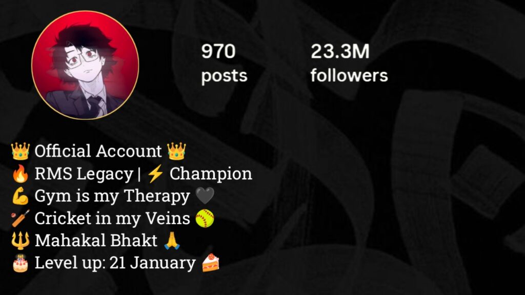 Instagram Bio For Boys Alone