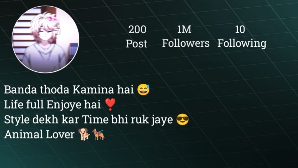 Instagram bio in hindi attitude 