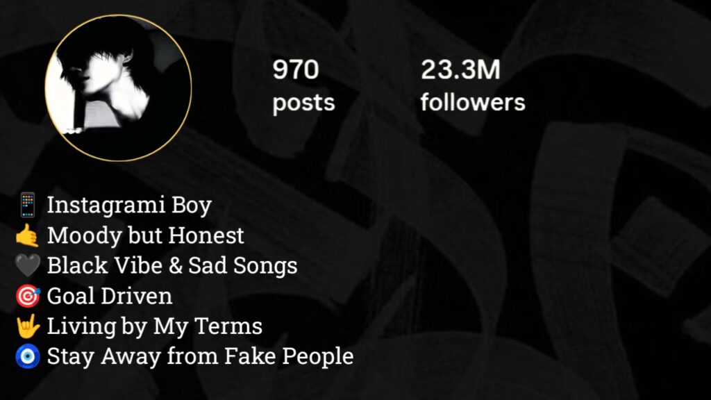 Instagram Bio for Boys Sad