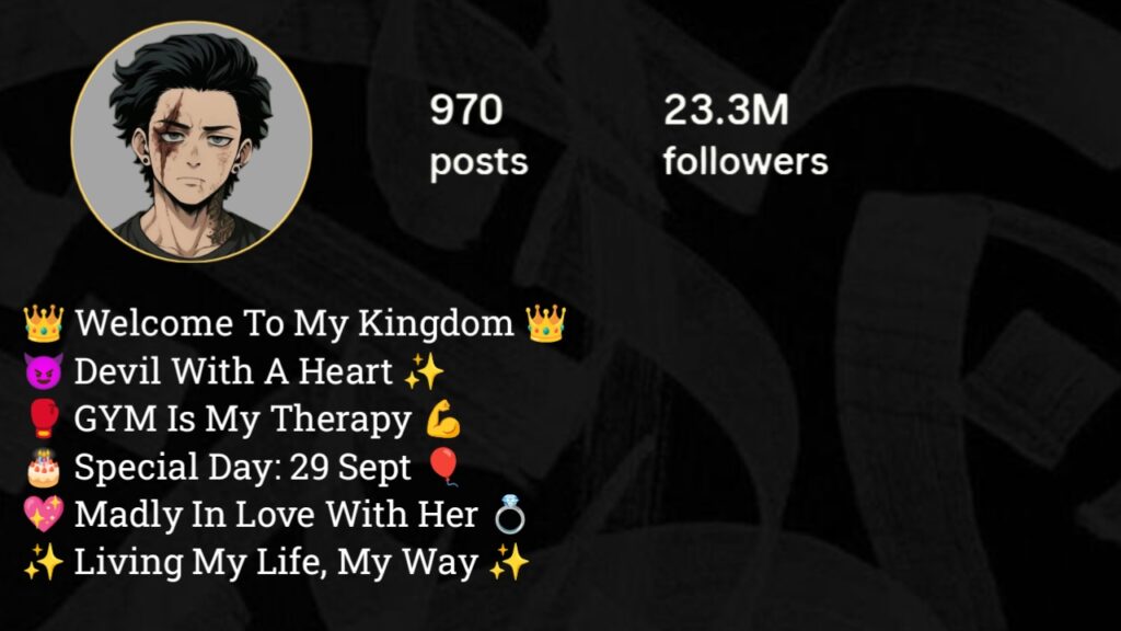 Instagram Bio For boys attitude