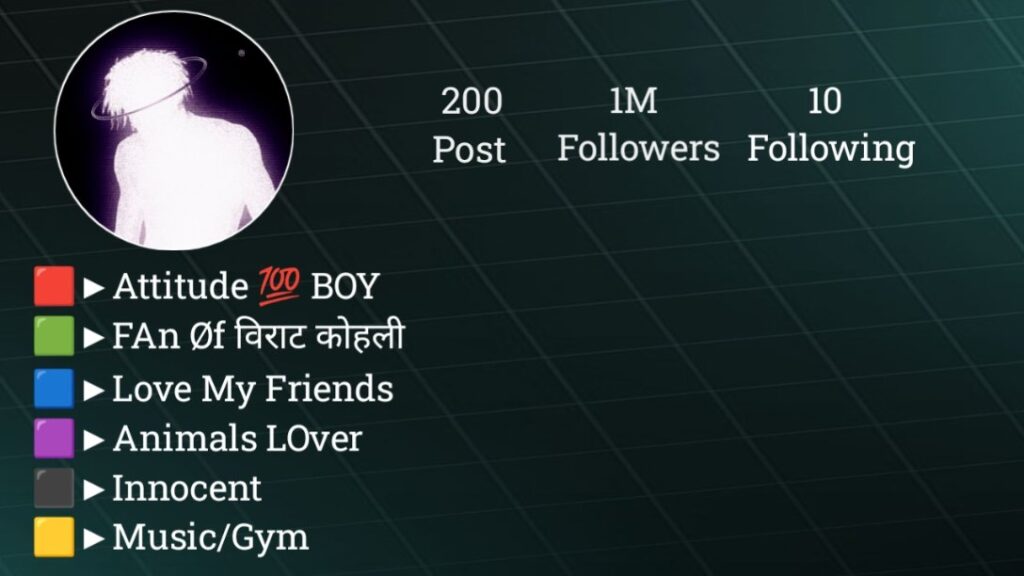 Instagram bio in hindi stylish