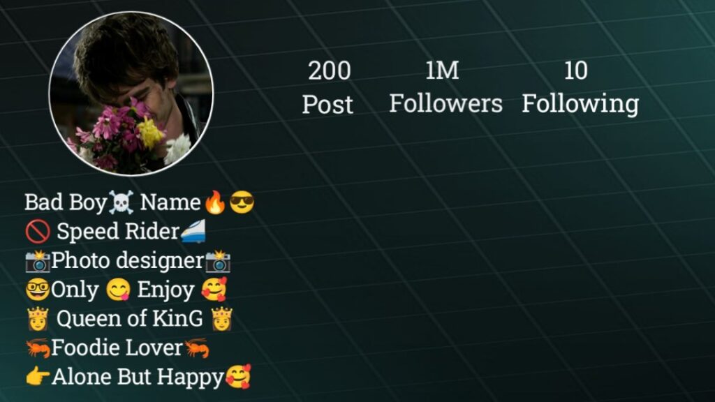 Instagram bio in hindi with emoji