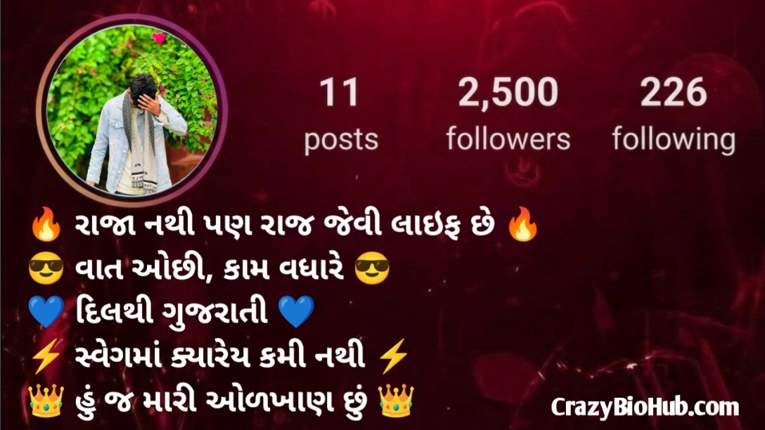 Instagram Bio in Gujarati