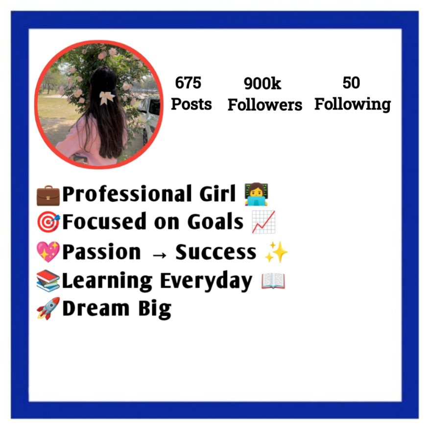 Instagram Bio for Girls Professional